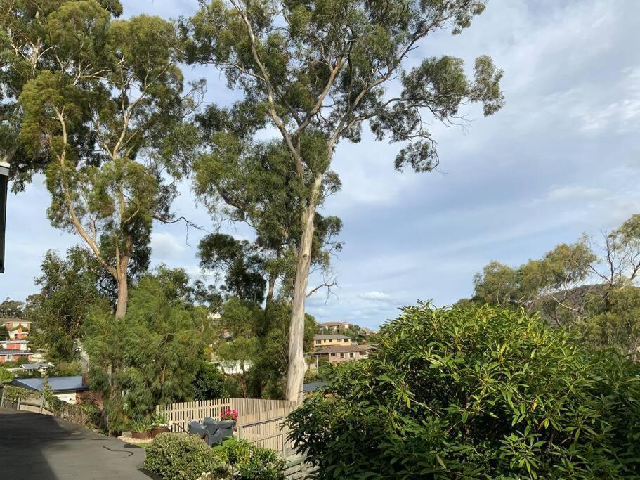 Apartment Spacious - Warm And Welcoming In Lindisfarne, 8 Min From Cbd